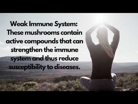 🍄 **Unlock the Power of Cordyceps Mushrooms for Better Health** 🍄