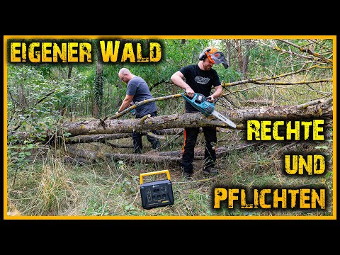 Waldpflege im eigenem Wald – Unsere Pflichten!? plus Q&A - Naturensöhne Frage Antwort