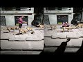 Street Dog Ki Seva Aur Pyaar I Love Dogs Dog Lover Street Dog Seva Amazing Video Part 1