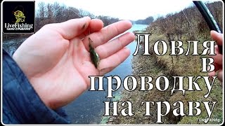 Ловля рыбы на травку