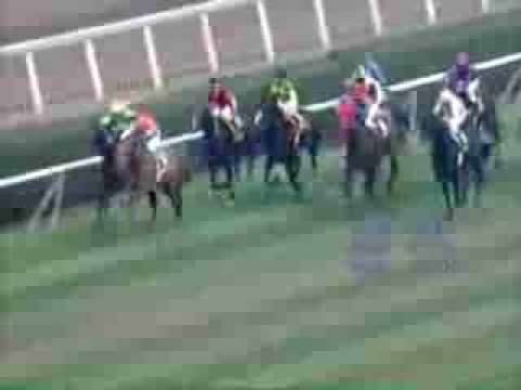 6a Carrera, 04 de Agosto 2013