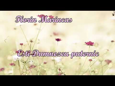 Florin Marincas - Esti Dumnezeu puternic