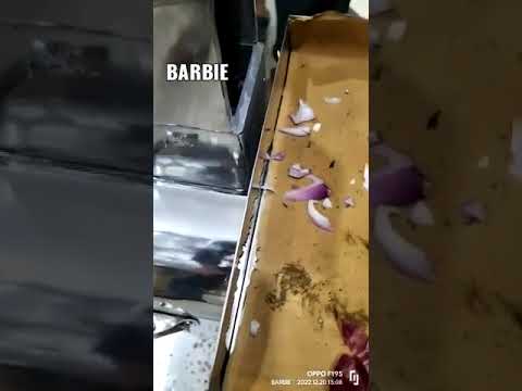 Onion And Vegetable Chopper