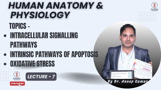 Intracellular Signalling pathways| Intrinsic Signalling of Apoptosis|oxidative stress @pharmadecoded