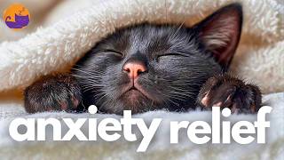 Sleep Music for Cats With Anxiety - Aggression - Boredom + Illness ❤️‍🩹🐱