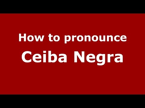 How to pronounce Ceiba Negra