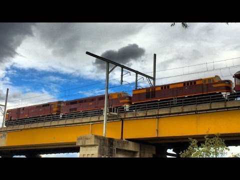 Sydney Trains Vlog 75: Heritage Diesel Loco's 44211-4490-4306 On Meadowbank Bridge