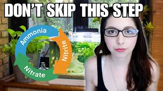 The Nitrogen Cycle, Cycling Your Aquarium, And How To Speed Up The Process