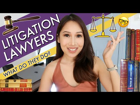Lawyer Secrets: WHAT DOES A LITIGATION LAWYER DO?