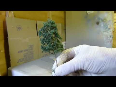 Dean Park Station Video 83 - How to make realistic Seafoam trees