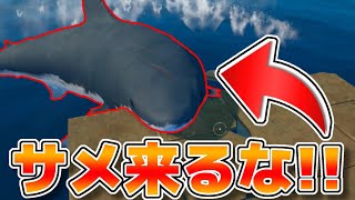 サメ来るな     1日目　＃サメ