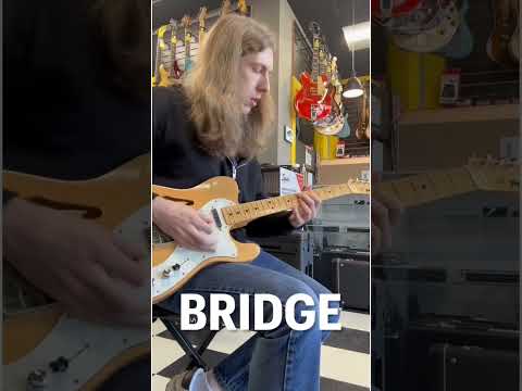 Fernandes Thinline Telecaster 1980s - Natural image 18