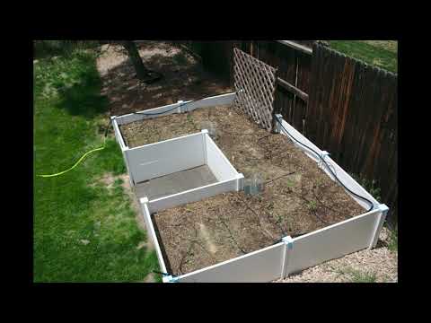 3 days of our garden