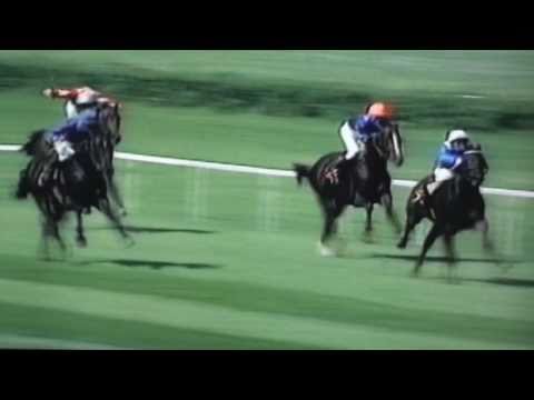 Nagroda Próbna - 29.06.1997 - Imbra (Jape - Imada)