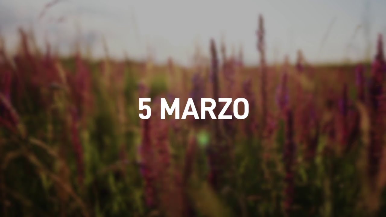 5 Marzo 2025 | Meditazione Parole di Vita
