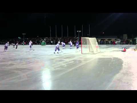 Pronssi 2015 Veiterä