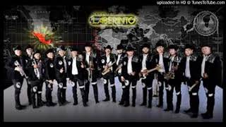 La loba Grupo Laberinto Epicenter Spider