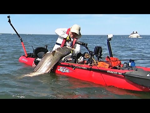 Adrenaline 26kg (57lbs) Corvina (Mulloway) - Extreme Kayak Fishing -1080HD 50fps