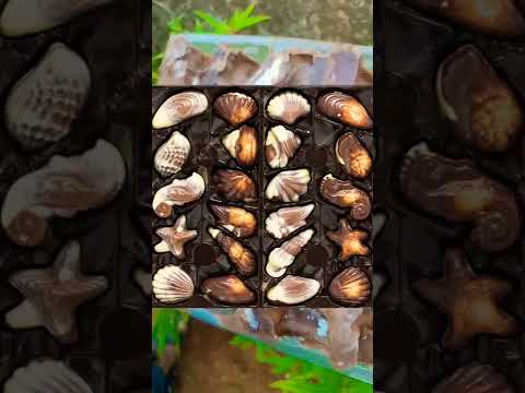 Belgium chocolate milk/white chocolate Malayalam review/#shorts