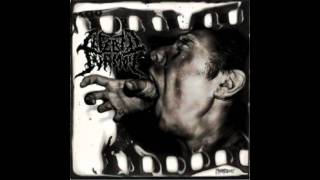 Cerebric Turmoil - secluded out of touch... (from the split ep with Defeated Sanity)