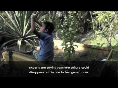 The Living Roots of History in Baja California