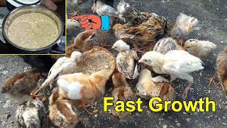 Healthy Food for Baby Chicks to Fast Growth || Chicken Feed List