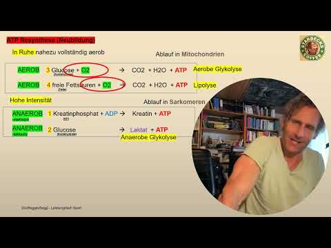 Abitur 2026 Sport Theorie im Schnelldurchlauf:  alle Basics in 50 Minuten -  Notfallprogramm!