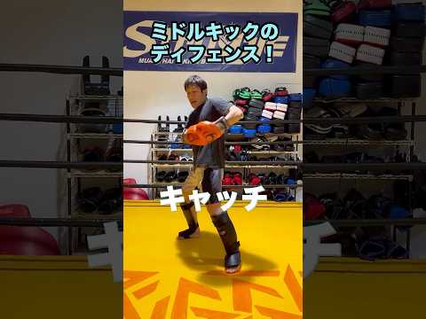 ◆◇◆ミドルキックのディフェンス　キャッチ◆◇◆