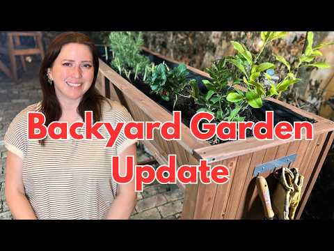 Garden Update 🌿 Setting Up My Garvee Cedar Raised Garden Bed