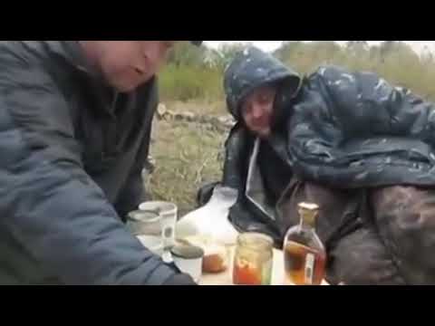 Invitada inesperada muy linda en el almuerzo