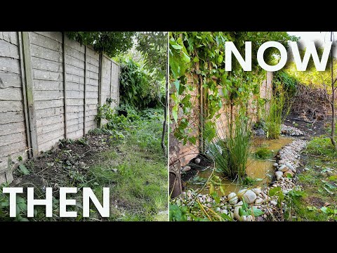 I Turned a Boring Patch of my Garden into a Wildlife Pond!