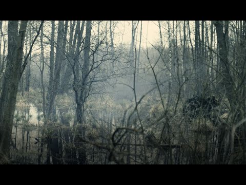 Marta Bejma - Jeziora