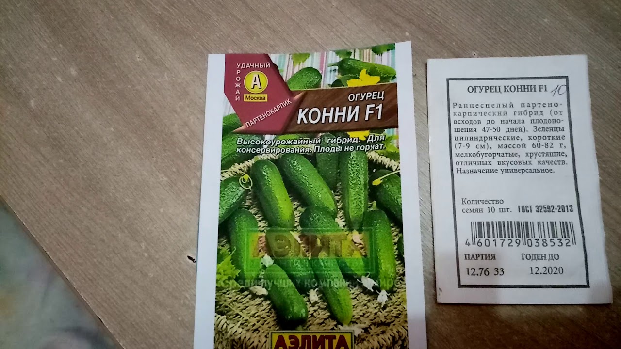 Огурцы " КОННИ F1". Мои ЛЮБИМЫЕ СОРТА. 25.2019г.