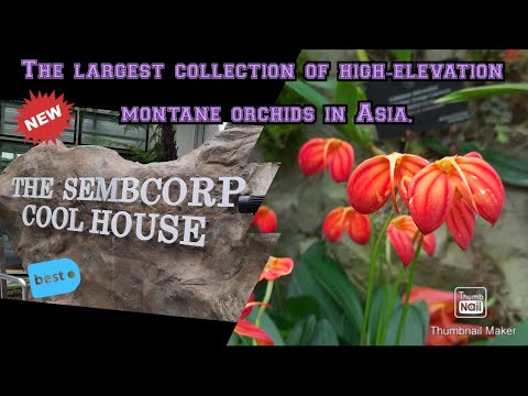 SembCorp Cool House | Tropical Montane Orchidetum | National Orchid Garden
