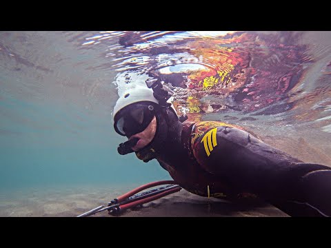 Solo Spearfishing For The Best Winter Fish - Sea Βass Catch And Cook