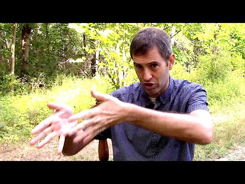 An Analysis of Defense Mechanisms — What I Wish They’d Taught Us in Psych 101