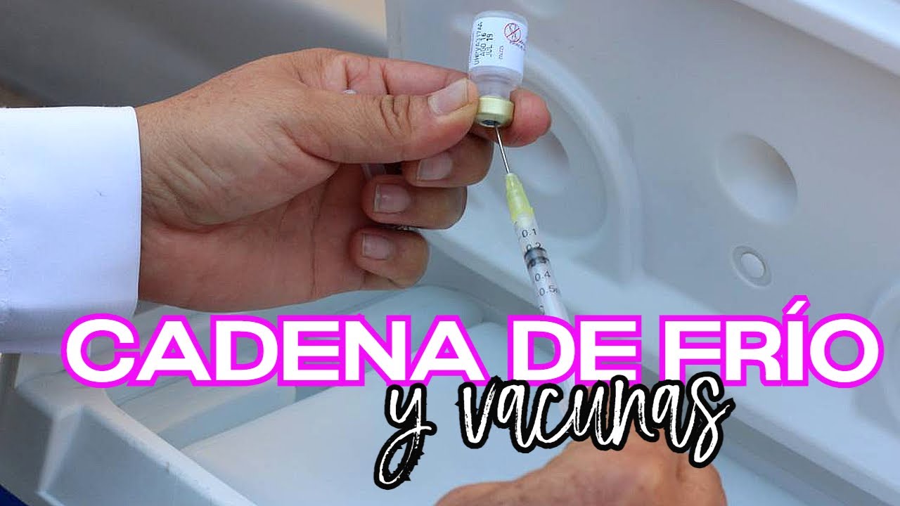 Watch CADENA DE FRIO y VACUNAS ¿Por qué es importante/ Cofia Educativa Now CADENA DE FRIO y VACUNAS ¿Por qué es importante/ Cofia Educativa