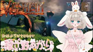 Valheim（ヴァルヘイム）　霧の地編　３９日目　今日は個人的に申し訳ないけど、病院の日、９時までね　霧の地、これ外れかな？　(੭ु´･ω･`)੭ु⁾⁾　オロオロ