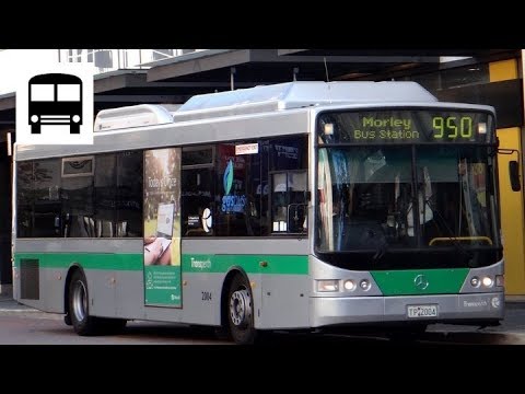 Mercedes-Benz OC500LE CNG (12.3m) - Transperth Superbus 950 (Part Two)