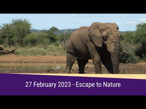 Escape to Nature Highlights 27 February 2023