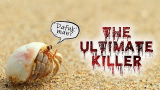 How I deal with aquarium PARASITE in saltwater - Reef Killer