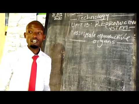 EST lesson P6: Reproductive System/ ORION SCHOOL KIGALI