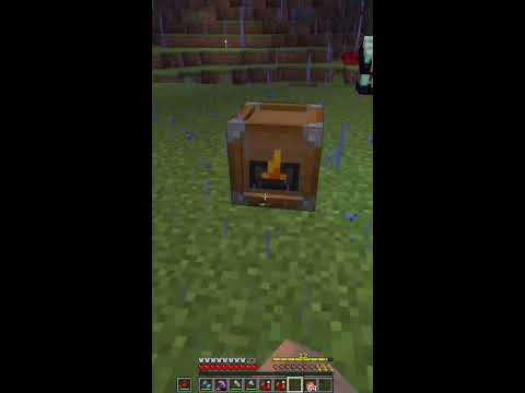 Back in the vaults (Portrait)