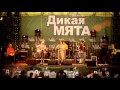 Дикая Мята 2012 