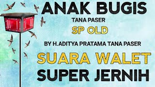 Download lagu ANAK BUGIS TANA PASER BY H.ADITYA TANA PASER MP3 | SUARA PANGGIL WALET FULL RESPON mp3