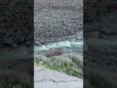 💙 ¡Feliz aniversario, Los Miches!