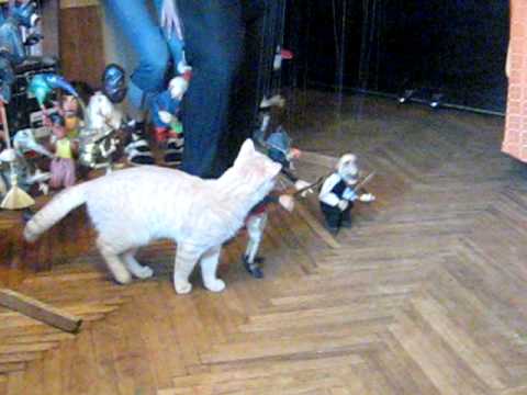 Remembering Igor Fokin: Petrusha and Yasha