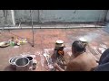 Pongal Celebration 2020 Myna Waiting For 2021 Pongal