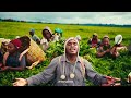 Obby Alpha JERUSALEM Official Video