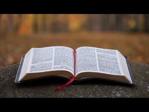 Mesaj Duminica dupamasa - 21 februarie 2021